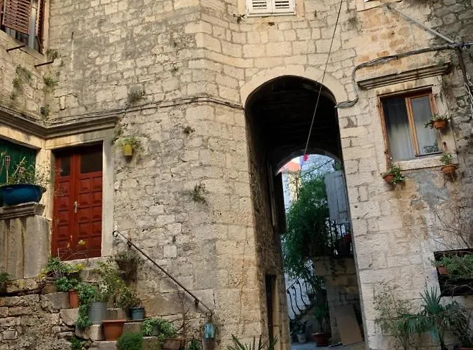 Penthouse Ivy