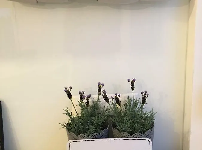 Penthouse Ivy Apartment *